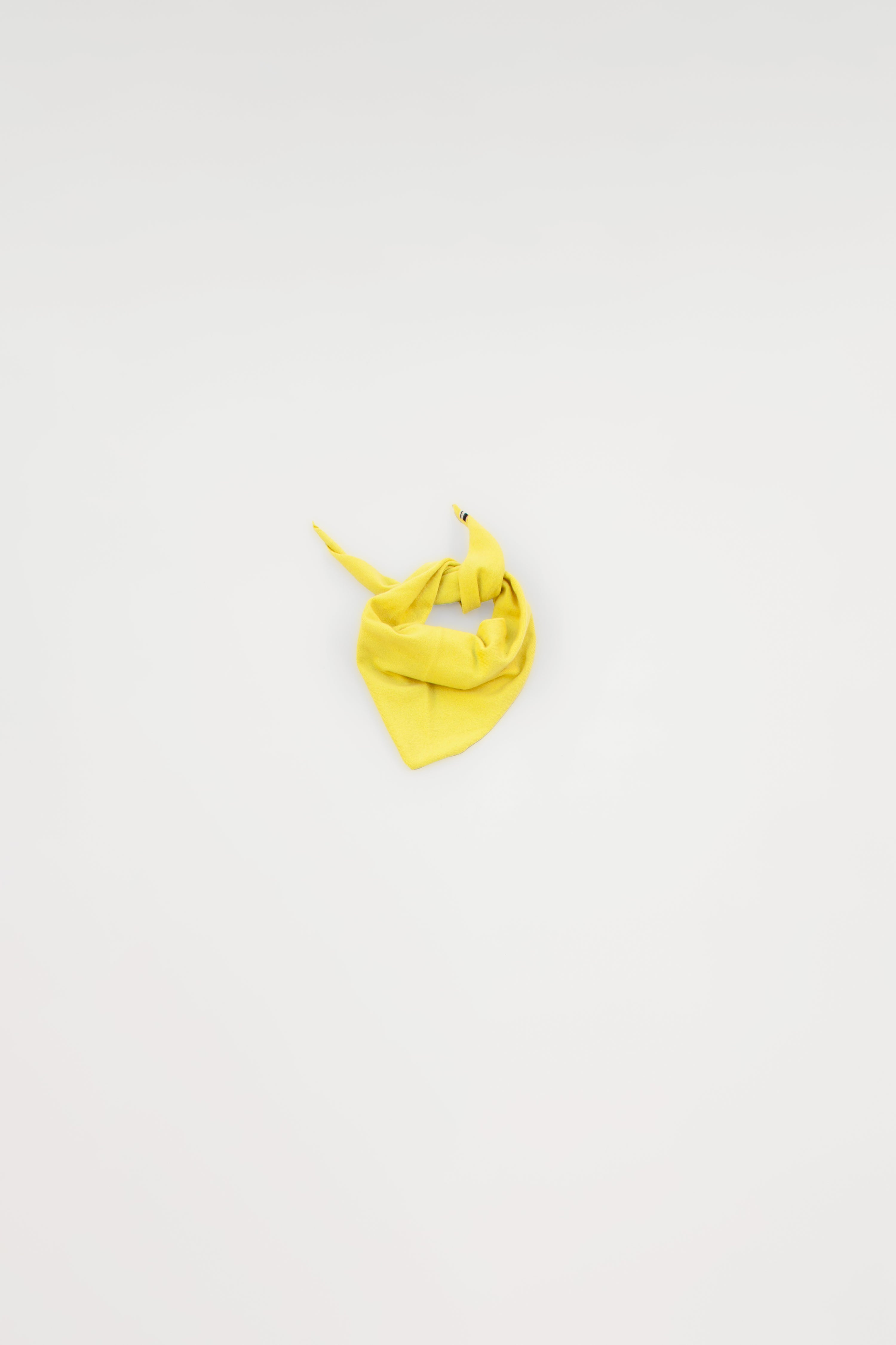 BANDANA SUNNY