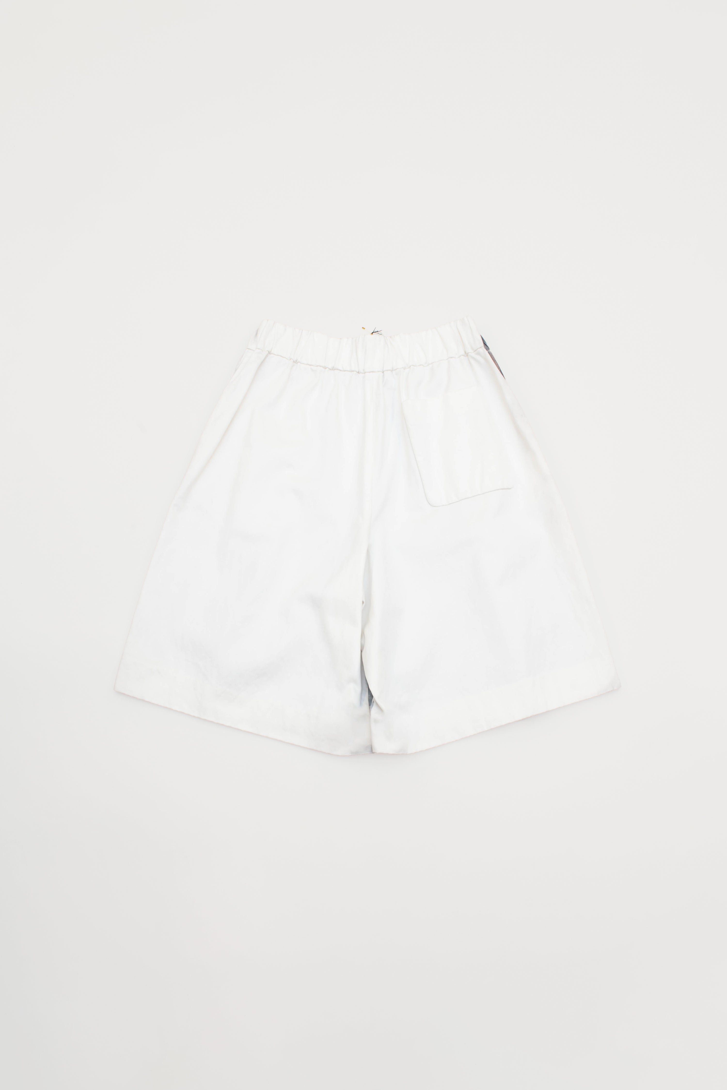 PLATO FLORAL SHORTS