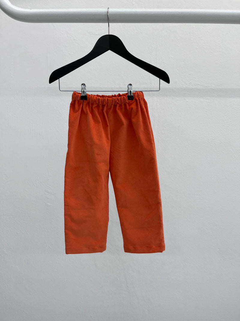 Tschono Pants in Orange